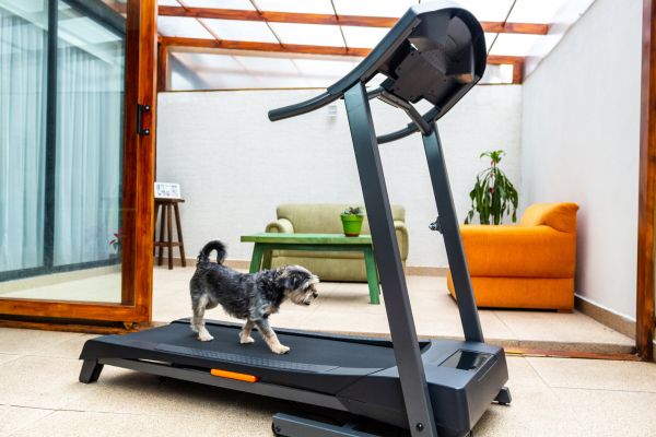 Cost of Treadmill Installation in Glenview