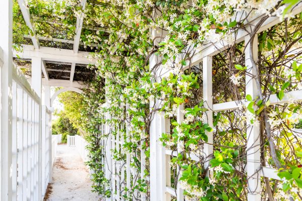 Cost of Trellis Repair in Glenview