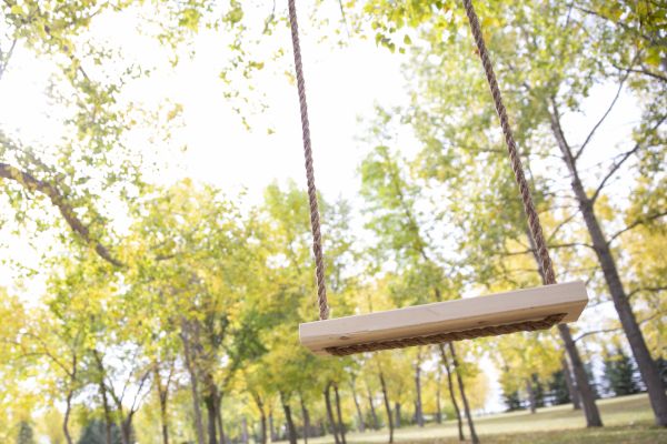 Cost of Tree Swing Installation in Glenview