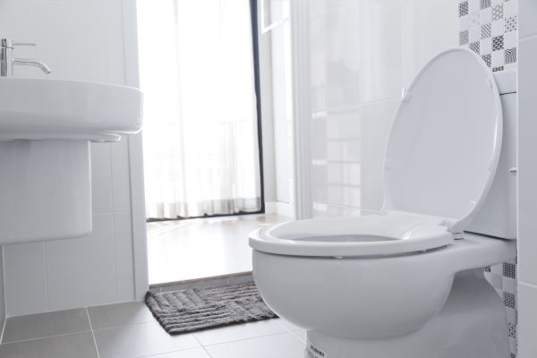 Cost of Toilet Seat Installation in Glenview