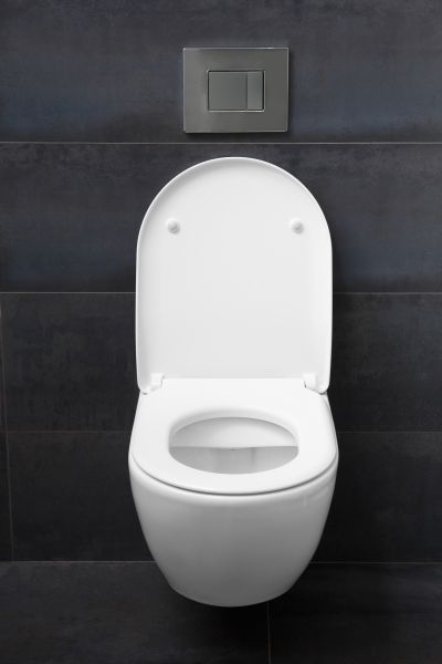 Cost of Toilet Lid Installation in Glenview