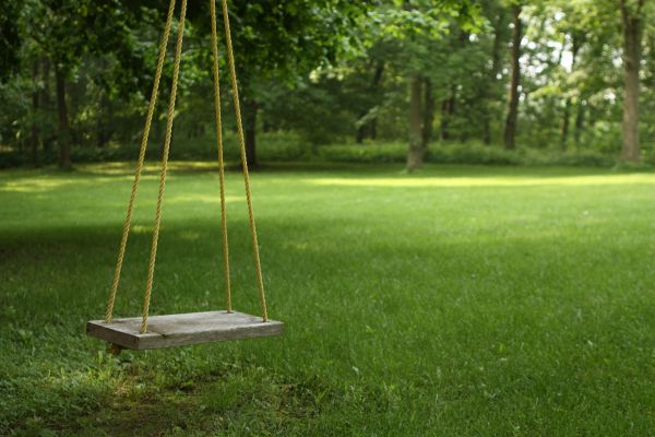 Cost of Rope Swing Installation in Glenview