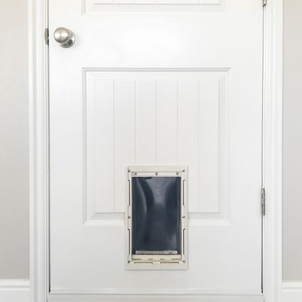 Cost of Pet Door Repair in Glenview