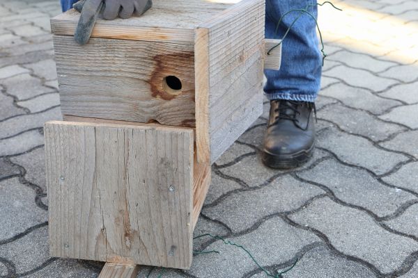 Cost of Birdhouse Mounting in Glenview