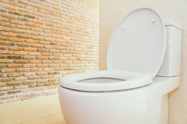 Cost of Toilet Seat Repair in Glenview